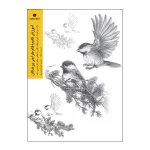 کتاب آموزش گام‌به‌گام طراحی پرندگان